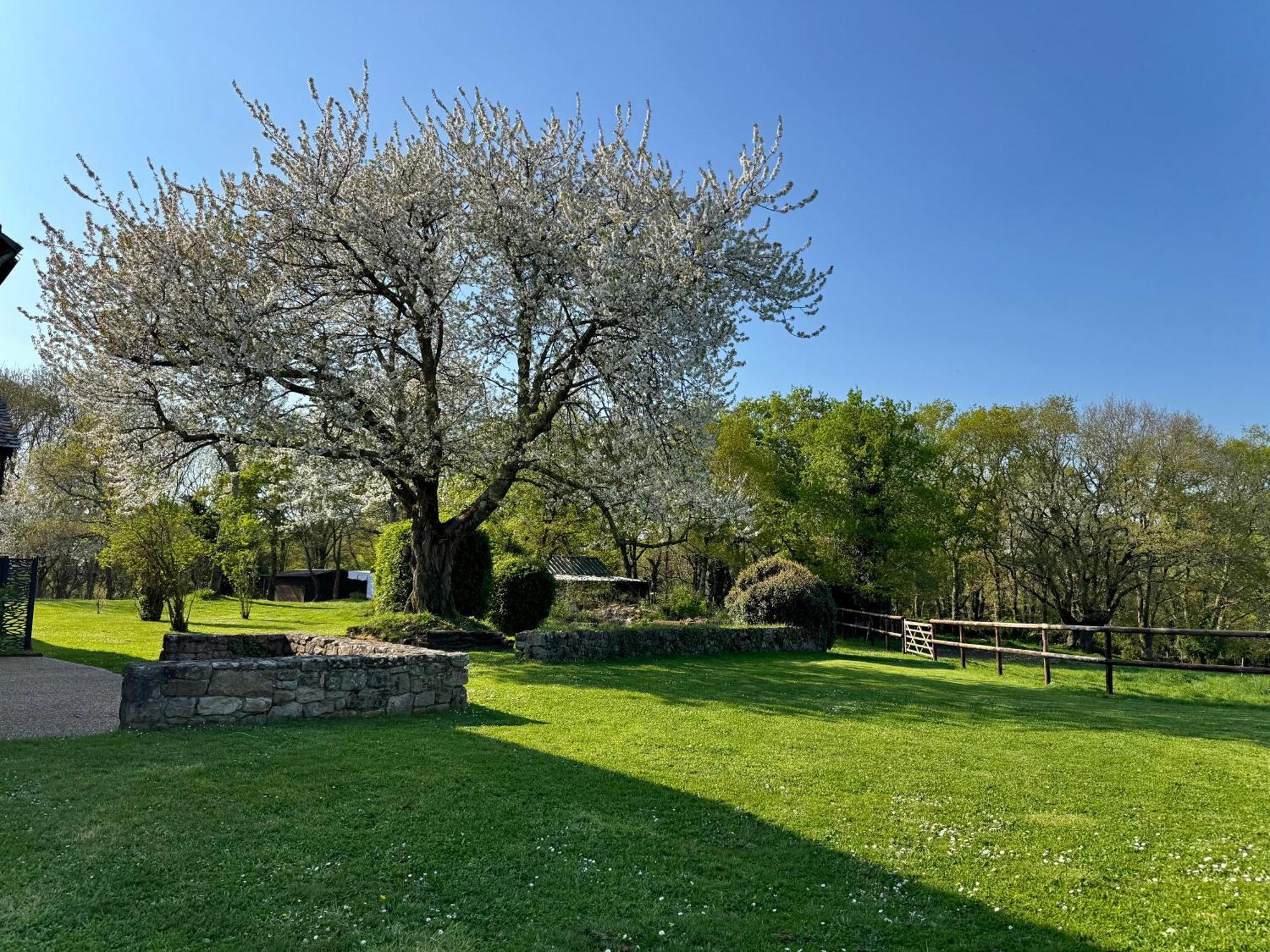 Le Domaine Du Ganquis Hotel Belz Exterior photo